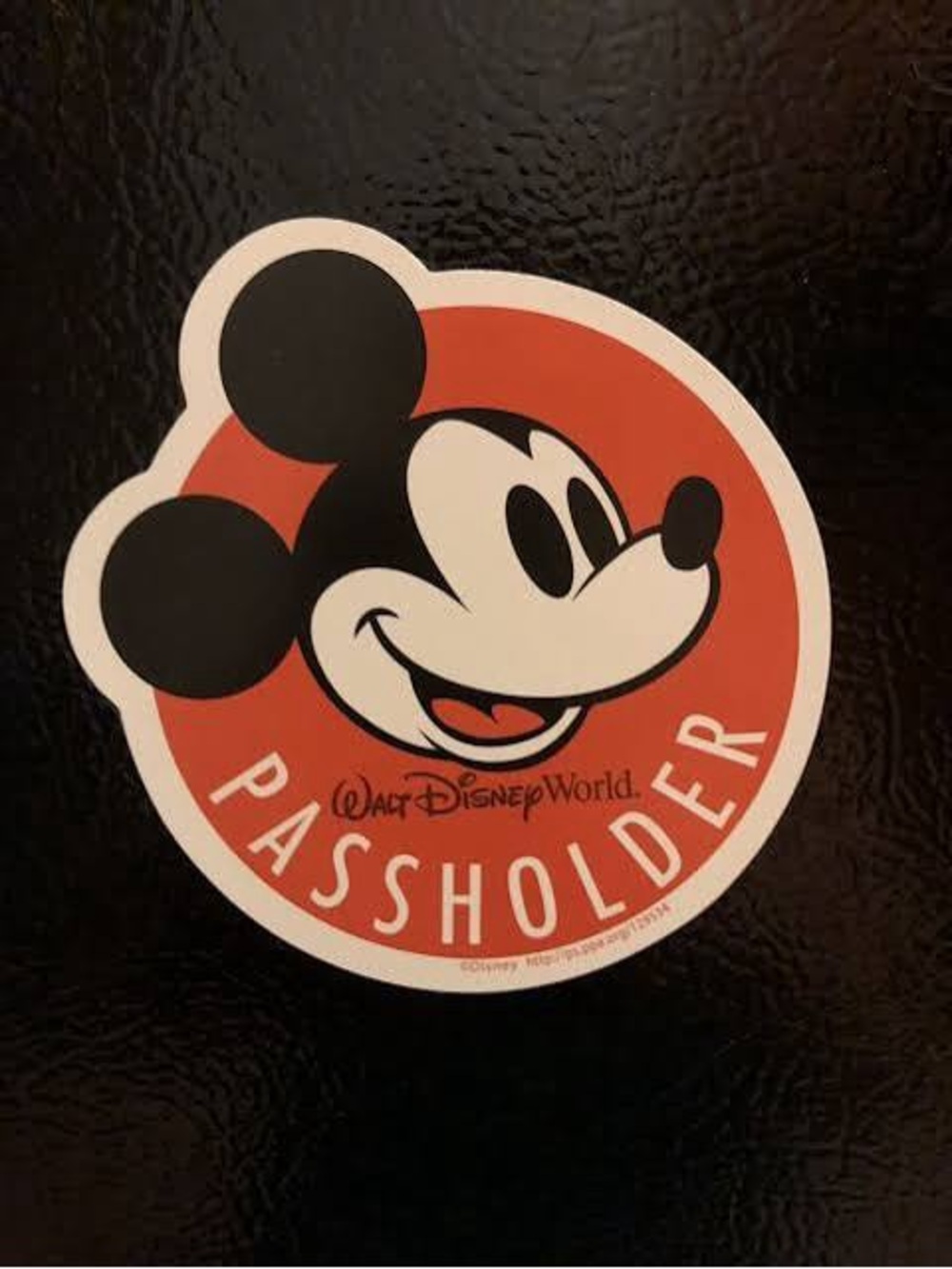 Disney Mickey Mouse Passholder Magnet